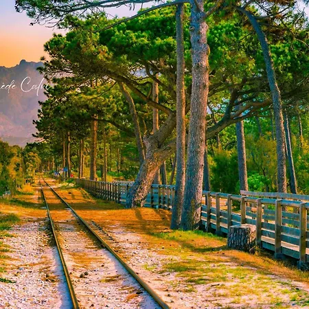 Lejlighed Les Pieds Dans L'eau T2 E Calvi (Corsica)