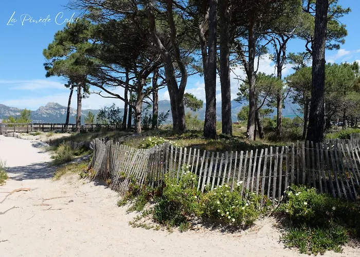 Les Pieds Dans L'eau T2 E Apartamento *