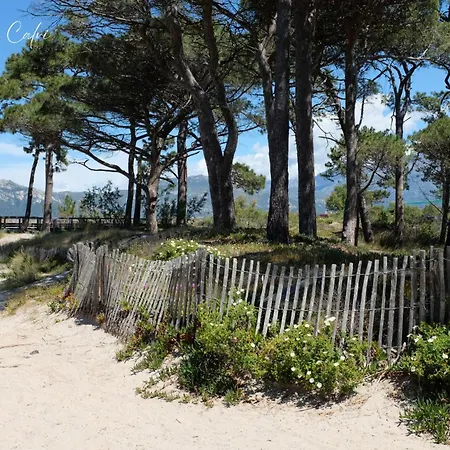 Les Pieds Dans L'eau T2 E Appartement *