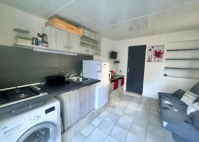 Les Pieds Dans L'eau T2 E 公寓 卡尔维