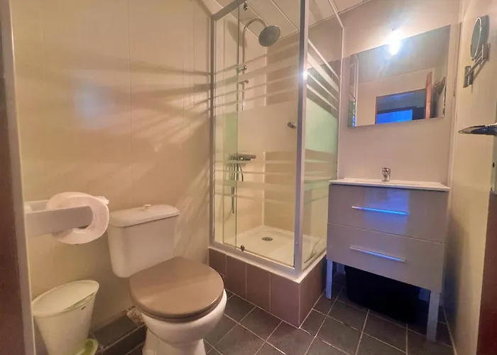 公寓 Les Pieds Dans L'eau T2 E *