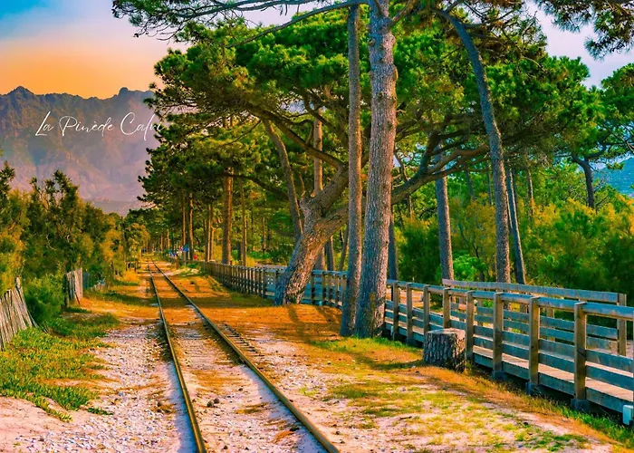 Апартаменты Les Pieds Dans L'eau T2 E Кальви